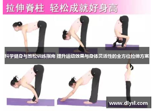 科学健身与放松训练指南 提升运动效果与身体灵活性的全方位拉伸方案
